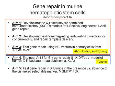 Gene repair in murine hematopoietic stem cells (NGEC Component 6) Aim 1: Develop murine X-linked severe combined immunodeficiency (XSCID) models for I-SceI.