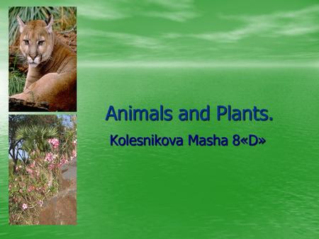 Animals and Plants. Kolesnikova Masha 8«D» Kolesnikova Masha 8«D»
