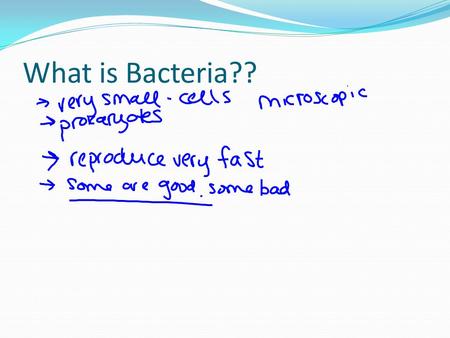 What is Bacteria??. Kingdom Bacteria Bacteria Introduction Bacteria are unicellular micro-organisms ranging in length from a few micrometers to half.