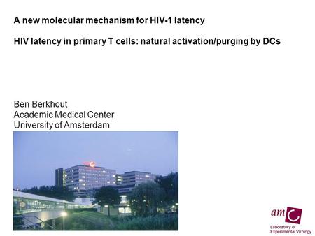 A new molecular mechanism for HIV-1 latency HIV latency in primary T cells: natural activation/purging by DCs Ben Berkhout Academic Medical Center University.