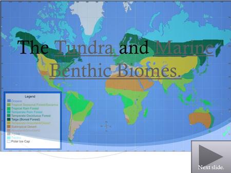  The Tundra and Marine Benthic Biomes.Tundra Marine Benthic Biomes.