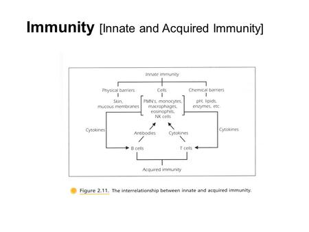Immunity [Innate and Acquired Immunity]. Biotechnology RED: Medical Area GREEN: Agriculture/Food Science WHITE: Bioprocess Engineering.