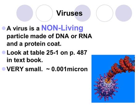 Viruses A virus is a NON-Living particle made of DNA or RNA and a protein coat. Look at table 25-1 on p. 487 in text book. VERY small. ~ 0.001micron.