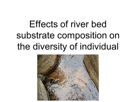 Effects of river bed substrate composition on the diversity of individual.