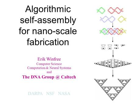 Algorithmic self-assembly for nano-scale fabrication Erik Winfree Computer Science Computation & Neural Systems and The DNA Caltech DARPA NSF NASA.