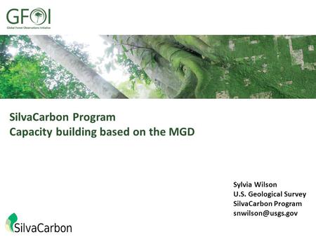 SilvaCarbon Program Capacity building based on the MGD Sylvia Wilson U.S. Geological Survey SilvaCarbon Program