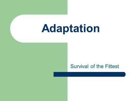 Adaptation Survival of the Fittest. It’s all about traits Acquired Traits Happen After Birth Scars Pierced Ears Learning a Skill Changing Appearance.