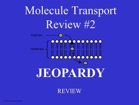 Molecule Transport Review #2 REVIEW JEOPARDY S2C06 Jeopardy Review.