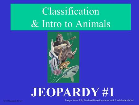Classification & Intro to Animals JEOPARDY #1 S2C06 Jeopardy Review Image from: