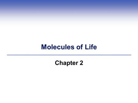 Molecules of Life Chapter 2. Protein Functions  Act as enzymes  Structural- cytoskeleton (actin, tubulin, others)  Mechanical- actin and myosin in.