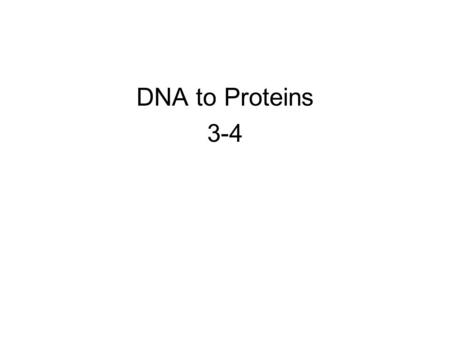 DNA to Proteins 3-4.
