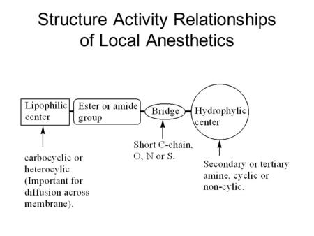 Structure Activity Relationships of Local Anesthetics.