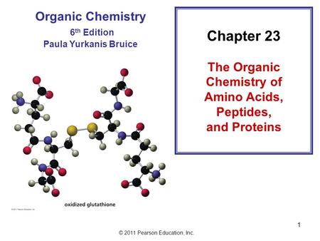 The Organic Chemistry of Amino Acids,