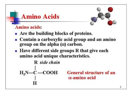 Amino Acids. Properties of Amino Acids Ques. 4: Use the above structures to answer the questions below: a. Which amino acid is most polar? b. Which.