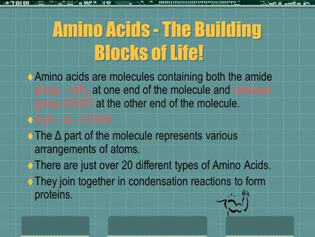Amino Acids - The Building Blocks of Life!  Amino acids are molecules containing both the amide group – NH 2 at one end of the molecule and carboxyl group.
