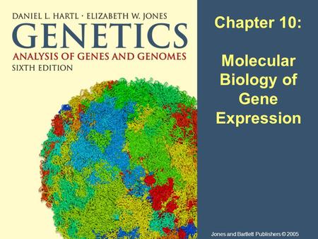 Chapter 10: Molecular Biology of Gene Expression Jones and Bartlett Publishers © 2005.