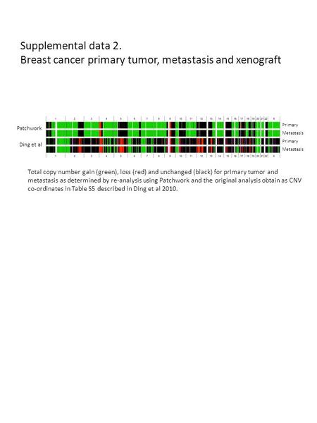 Supplemental data 2. Breast cancer primary tumor, metastasis and xenograft Total copy number gain (green), loss (red) and unchanged (black) for primary.
