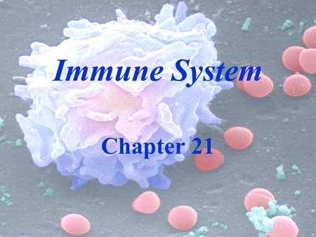 Immune System Chapter 21. Nonspecific Defenses Species resistance - docking sites on cells only allow certain pathogens to attach. Ex: you can’t get: