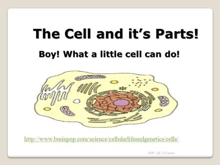 SMP - LE 2013 notes The Cell and it’s Parts! Boy! What a little cell can do!