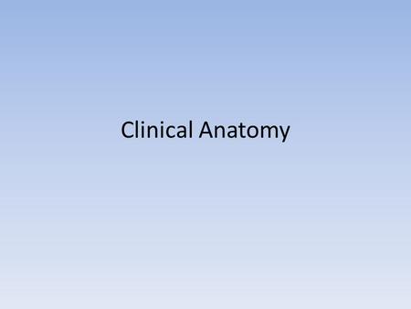 Clinical Anatomy.