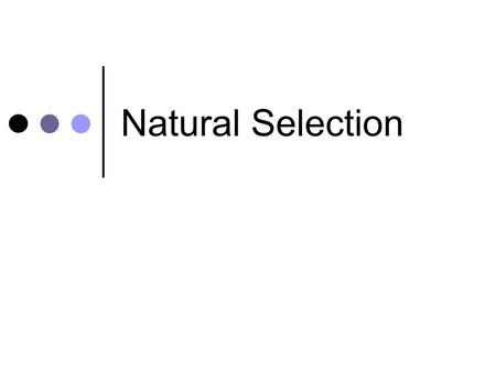 Natural Selection. Learning intentions I know that sexual reproduction results in variation in a population I can explain natural selection as survival.