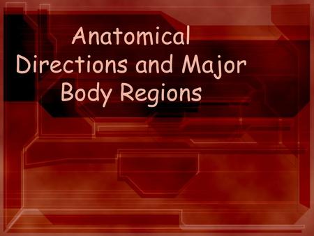 Anatomical Directions and Major Body Regions