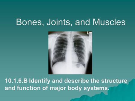 Bones, Joints, and Muscles 10.1.6.B Identify and describe the structure and function of major body systems.