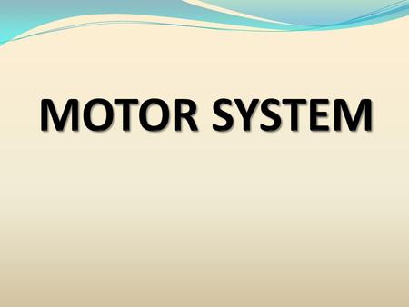 MOTOR THE WORD MOTOR MEANS M O V E M E N T MOTOR SYSTEM INCLUDES MOTOR CORTEX PYRAMIDAL TRACTS CORTICO SPINAL CORTICO BULBAR EXTRA PYRAMIDAL TRACTS BASAL.