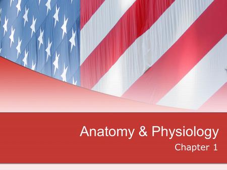 Anatomy & Physiology Chapter 1. Anatomy Defined Anatomy is the study of body structure, asking the questions: Where is it located? What does it look like?