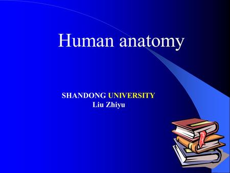 Human anatomy SHANDONG UNIVERSITY Liu Zhiyu. Introduction.