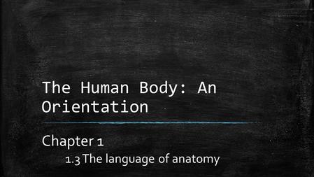 The Human Body: An Orientation Chapter 1 1.3 The language of anatomy.