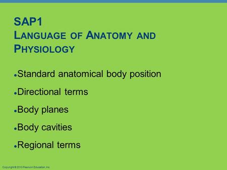 Copyright © 2010 Pearson Education, Inc. SAP1 L ANGUAGE OF A NATOMY AND P HYSIOLOGY ● Standard anatomical body position ● Directional terms ● Body planes.