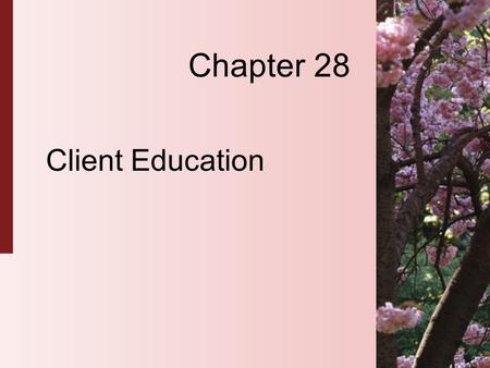 Chapter 28 Client Education. 28-2 Copyright 2004 by Delmar Learning, a division of Thomson Learning, Inc. The Teaching-Learning Process  A planned interaction.