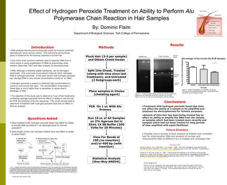 Effect of Hydrogen Peroxide Treatment on Ability to Perform Alu Polymerase Chain Reaction in Hair Samples By: Dominic Flaim Department of Biological Sciences,