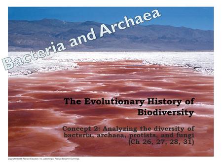 The Evolutionary History of Biodiversity Concept 2: Analyzing the diversity of bacteria, archaea, protists, and fungi (Ch 26, 27, 28, 31)