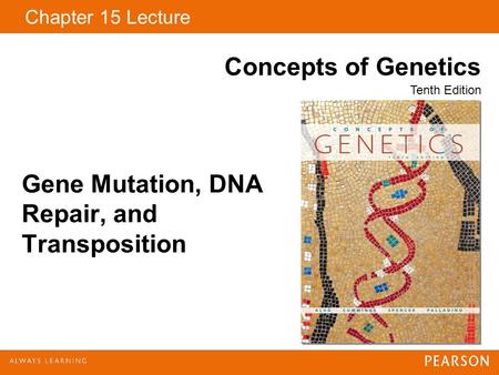 Copyright © 2009 Pearson Education, Inc. Chapter 15 Lecture Concepts of Genetics Tenth Edition Gene Mutation, DNA Repair, and Transposition.