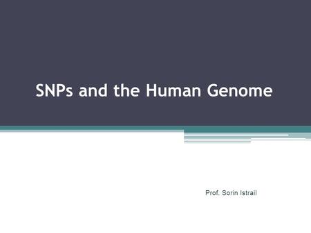 SNPs and the Human Genome Prof. Sorin Istrail. A SNP is a position in a genome at which two or more different bases occur in the population, each with.