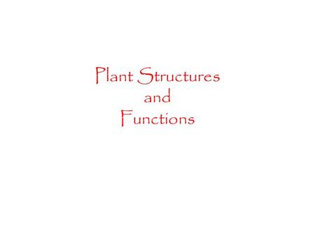 Plant Structures and Functions. Stems All stems look very similar, but upon closer observation there are many differences!