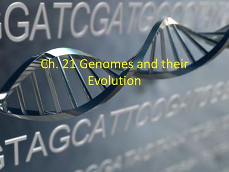 Ch. 21 Genomes and their Evolution. New approaches have accelerated the pace of genome sequencing The human genome project began in 1990, using a three-stage.