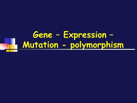 1 Gene – Expression – Mutation - polymorphism. 2 How are genes expressed ? Nucleus Cytoplasm DNA Transcription Poly(A ) Cap Pre-mRNA Splicing Cap Poly(A)