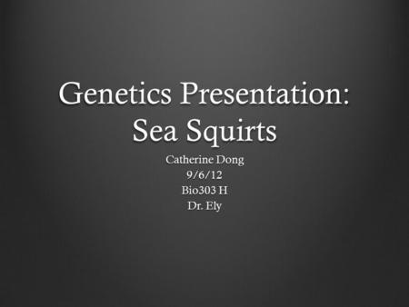 Genetics Presentation: Sea Squirts Catherine Dong 9/6/12 Bio303 H Dr. Ely.