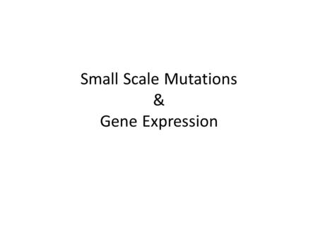 Small Scale Mutations & Gene Expression. LARGE MUTATIONS & GENETICS Quick Review.