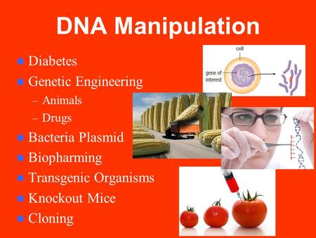 DNA Manipulation Diabetes Genetic Engineering – Animals – Drugs Bacteria Plasmid Biopharming Transgenic Organisms Knockout Mice Cloning.