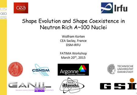 Shape Evolution and Shape Coexistence in Neutron Rich A~100 Nuclei