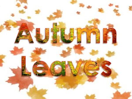 Why do leaves turn color in autumn? Inside a leaf there are millions of little packages of color in green, yellow and orange.