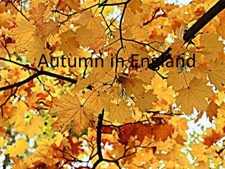 Autumn in England. It’s autumn. All the leaves are falling down, Falling down, falling down. Falling, falling to the ground It is autumn! As they fall.
