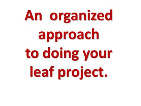 An organized approach to doing your leaf project..
