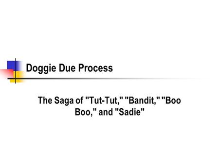 Doggie Due Process The Saga of Tut-Tut, Bandit, Boo Boo, and Sadie