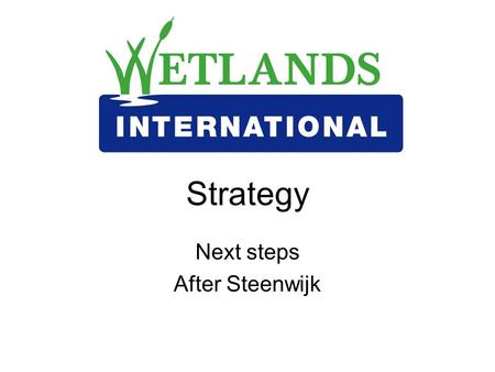 Strategy Next steps After Steenwijk. Strategic Intent – by end April Finalise excel strategy contributions table Check/ adjust numbers in the CTs Agree.