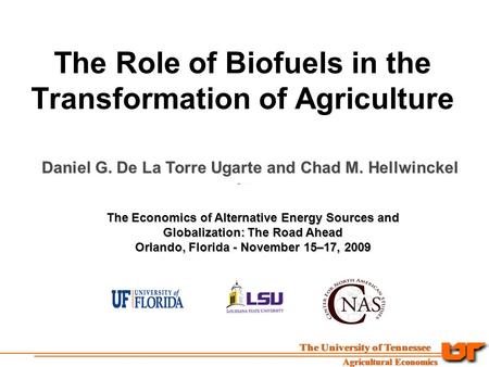 The Role of Biofuels in the Transformation of Agriculture Daniel G. De La Torre Ugarte and Chad M. Hellwinckel The Economics of Alternative Energy Sources.